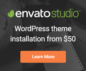 300x250.swf  envato_studio