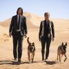Group logo of swesub~Filmen John Wick 3 2019 HD hela på nätet - Swefilm (2019)